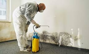 Reliable Pine Ridge At Crestwood, NJ Mold Removal Solutions